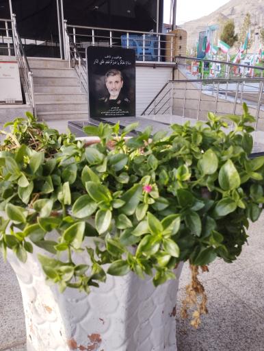 عکس گلزار شهدا