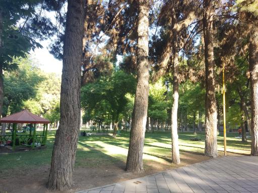 عکس پارک شاهد