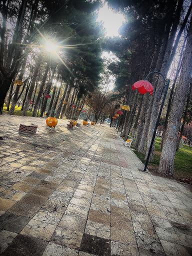 عکس پارک شاهد