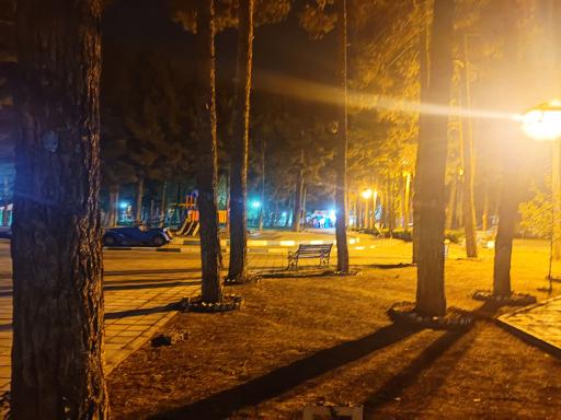 عکس پارک شاهد