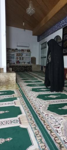 عکس امامزاده حسن رضا (ع)