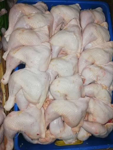 عکس مرغ و پروتیین بابا کورش