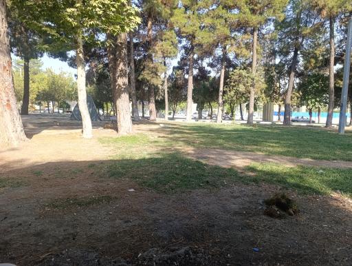 عکس پارک شاهد