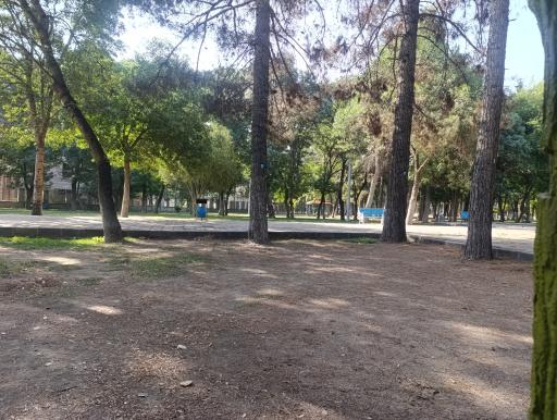 عکس پارک شاهد