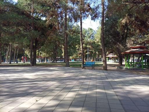 عکس پارک شاهد