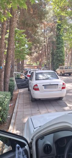 عکس پارک شاهد