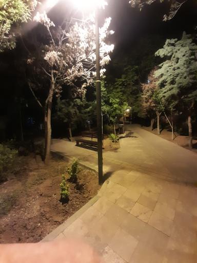 عکس بوستان تاکستان