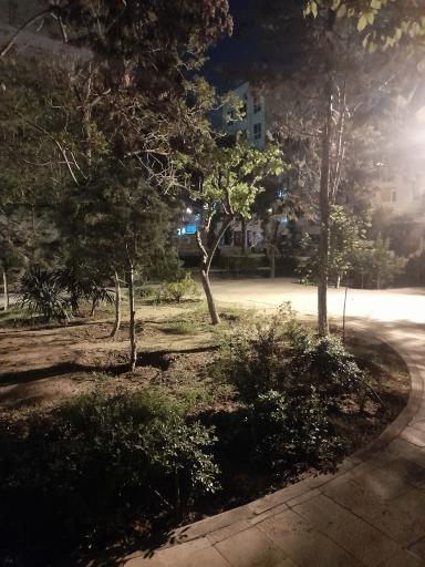 عکس بوستان تاکستان