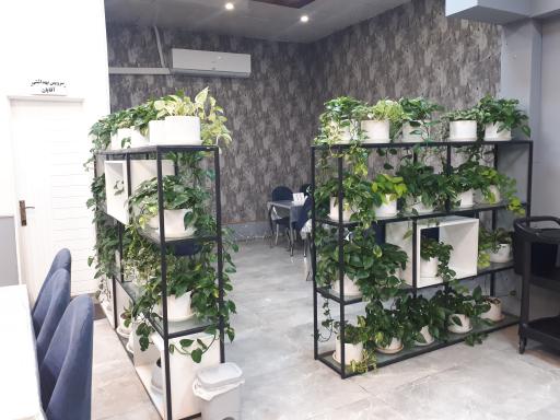 عکس رستوران جوجه طلایی