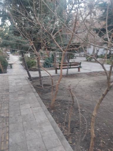 عکس بوستان تاکستان