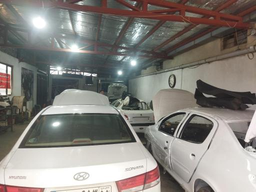 عکس کاراکال تیونینگ سنندج 