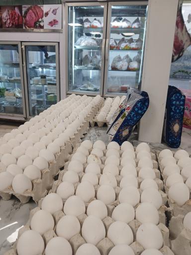 عکس پروتئینی درویش 