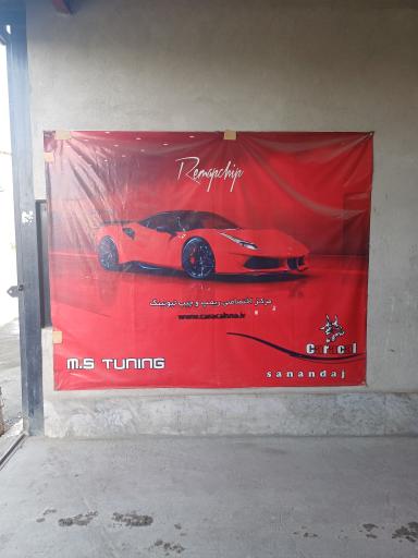 عکس کاراکال تیونینگ سنندج 