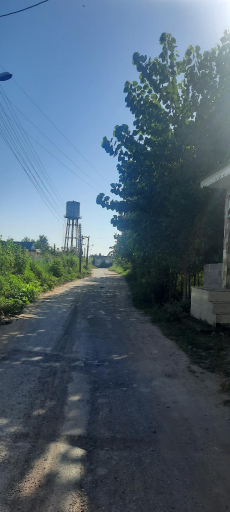 عکس نورود