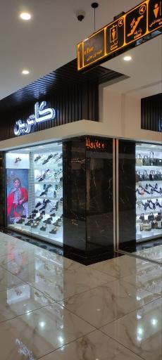 عکس کفش کاترین