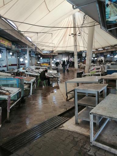 عکس بازار ماهی