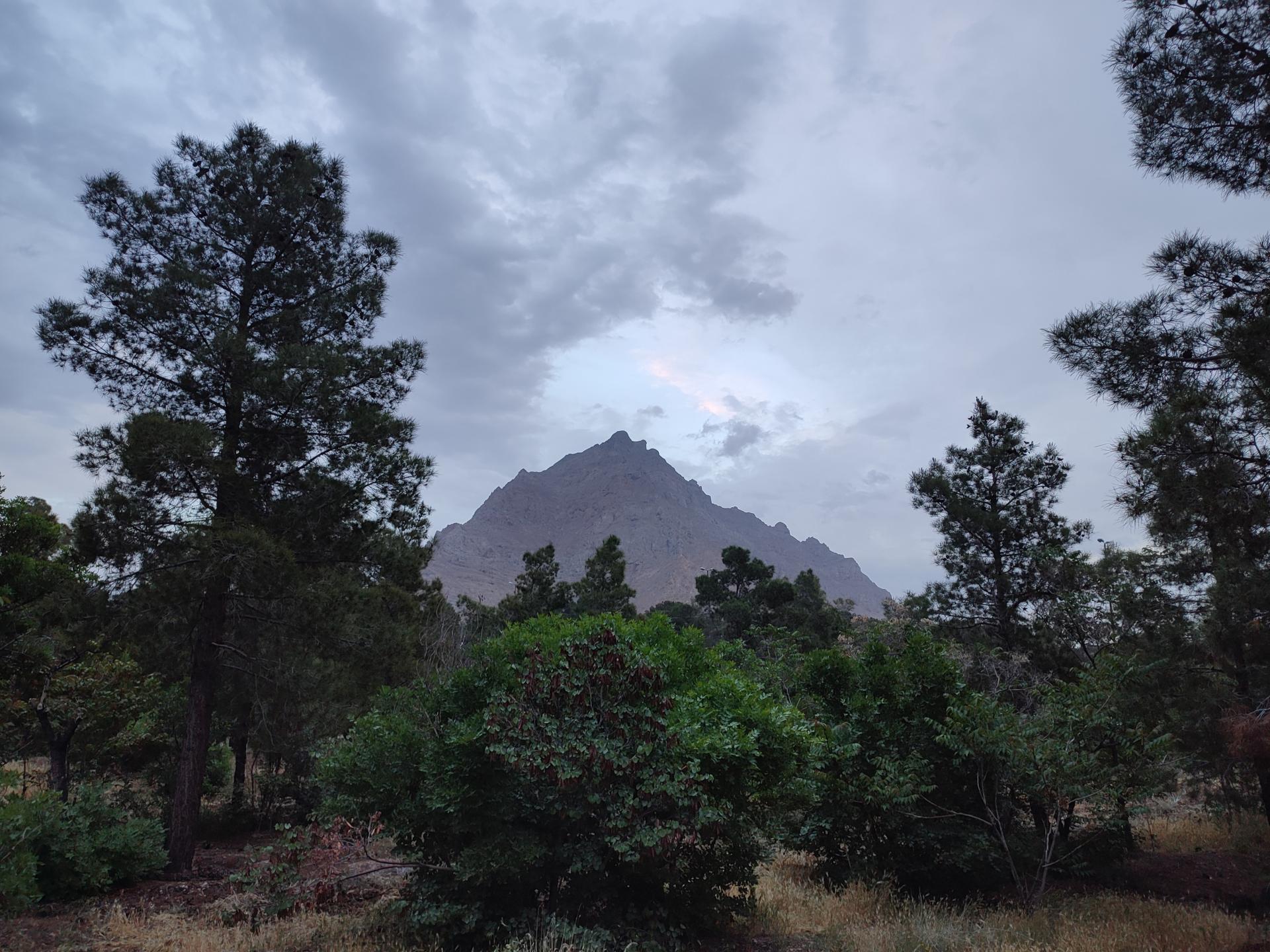 عکس پارک جنگلی دانشگاه صنعتی اصفهان