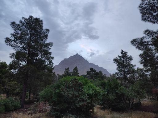 عکس پارک جنگلی دانشگاه صنعتی اصفهان