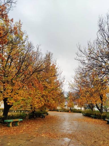 عکس دانشگاه فرهنگیان شهید مطهری، آب باریک