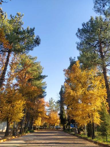 عکس دانشگاه فرهنگیان شهید مطهری، آب باریک