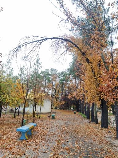 عکس دانشگاه فرهنگیان شهید مطهری، آب باریک