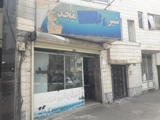 عکس شیر مجد