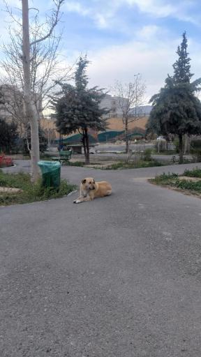 عکس بوستان ایثار (حیدربابا)