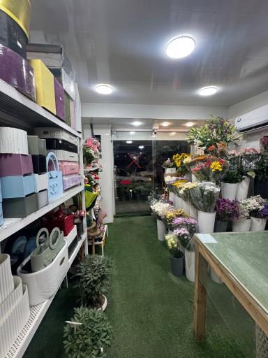 عکس گلفروشی دشت بهشت