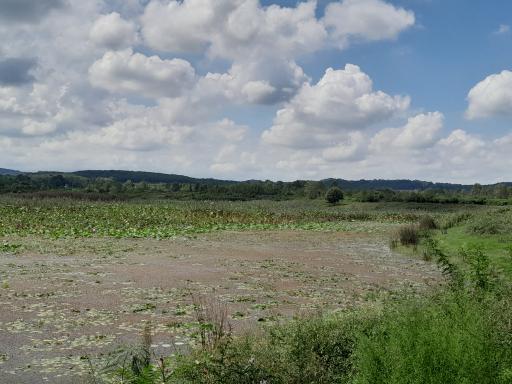 عکس آبگیر فصلی