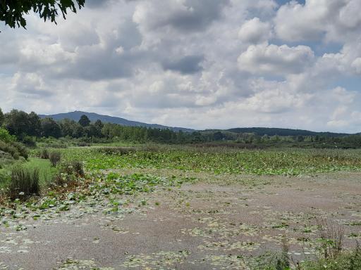 عکس آبگیر فصلی