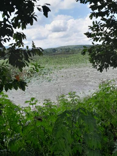 عکس آبگیر فصلی