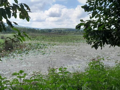 عکس آبگیر فصلی