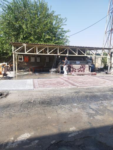 عکس قالیشویی بهاران