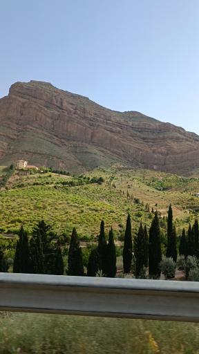 عکس تفرج گاه شب شتری