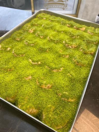 عکس رضا باقلوا