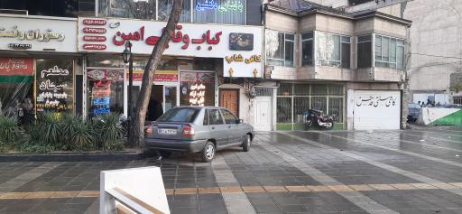 عکس کباب و قابلی امین (شعبه 2)