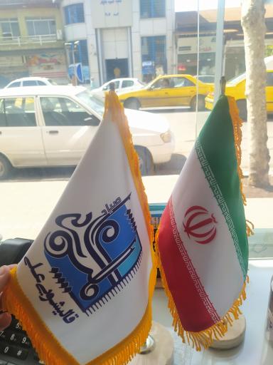 عکس قالیشویی علی