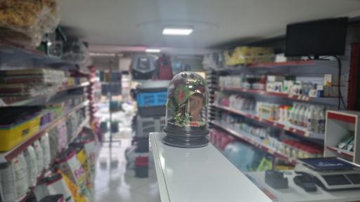 عکس پت شاپ دریم پت