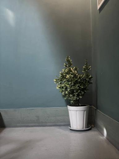 عکس شهر کاغذی