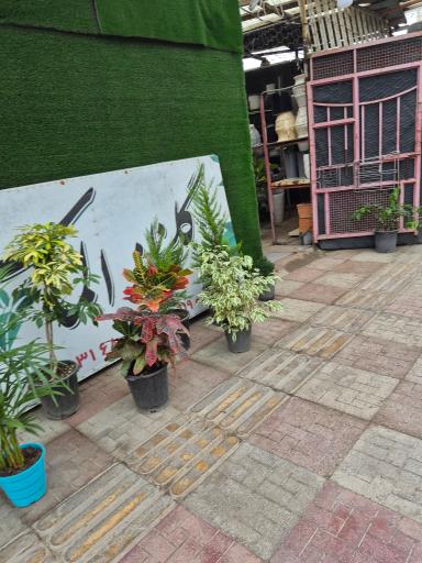 عکس گلخانه الماس سبز