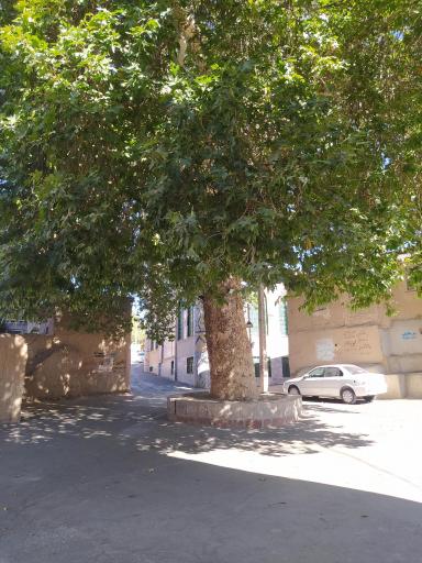عکس میدان 