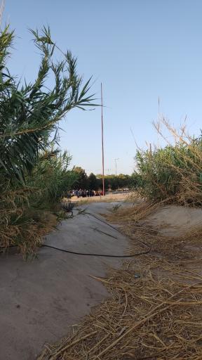 عکس علقمه نوش آباد