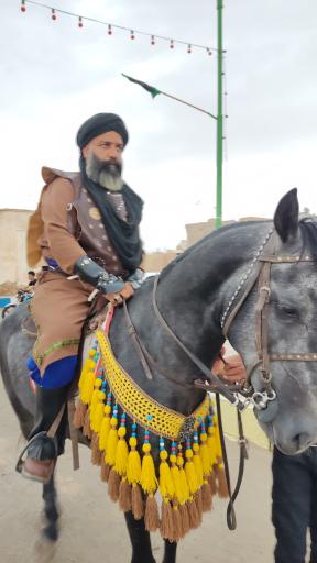 عکس علقمه نوش آباد