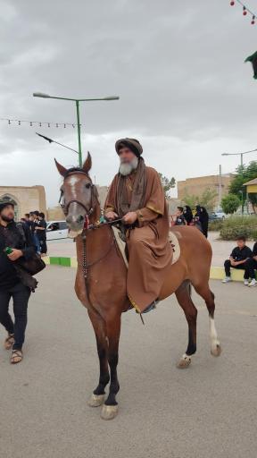 عکس علقمه نوش آباد