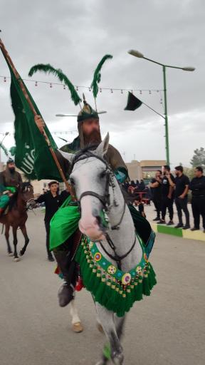 عکس علقمه نوش آباد