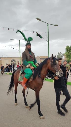 عکس علقمه نوش آباد