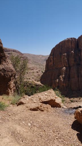 عکس تفرج گاه شب شتری