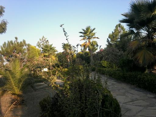 عکس بوستان جزیره مجنون