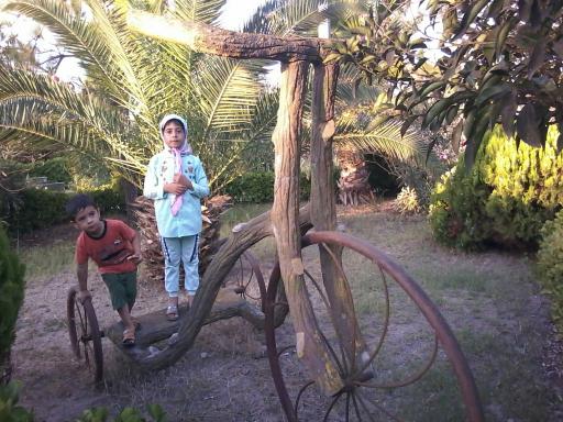 عکس بوستان جزیره مجنون