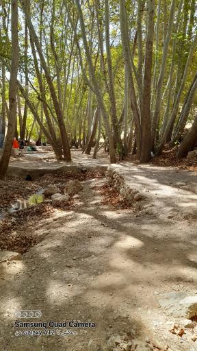 عکس تفرج گاه شب شتری